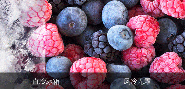 描述9.gif