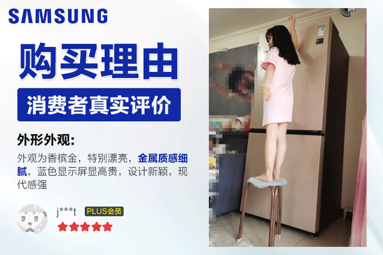 描述1.gif