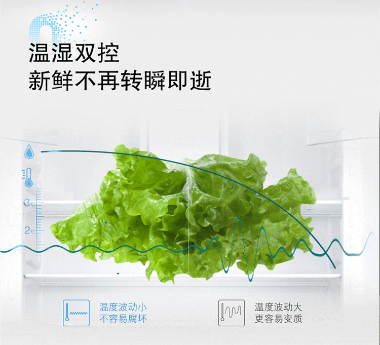 描述3.gif