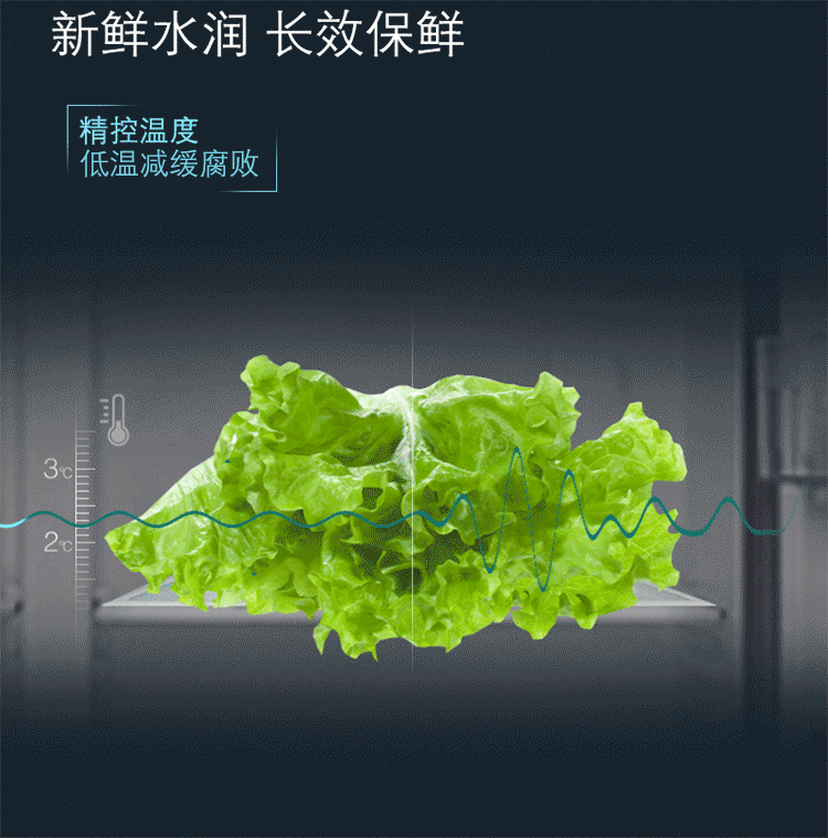 描述3.gif