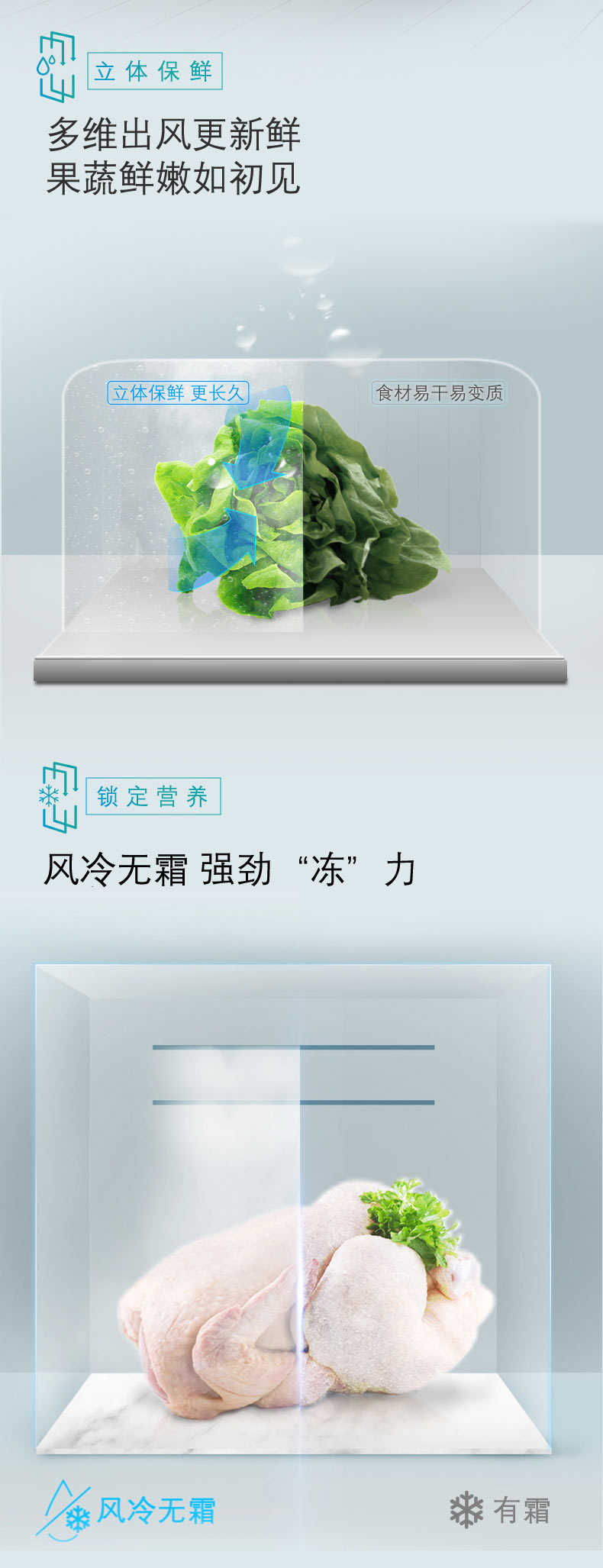 描述3.jpg