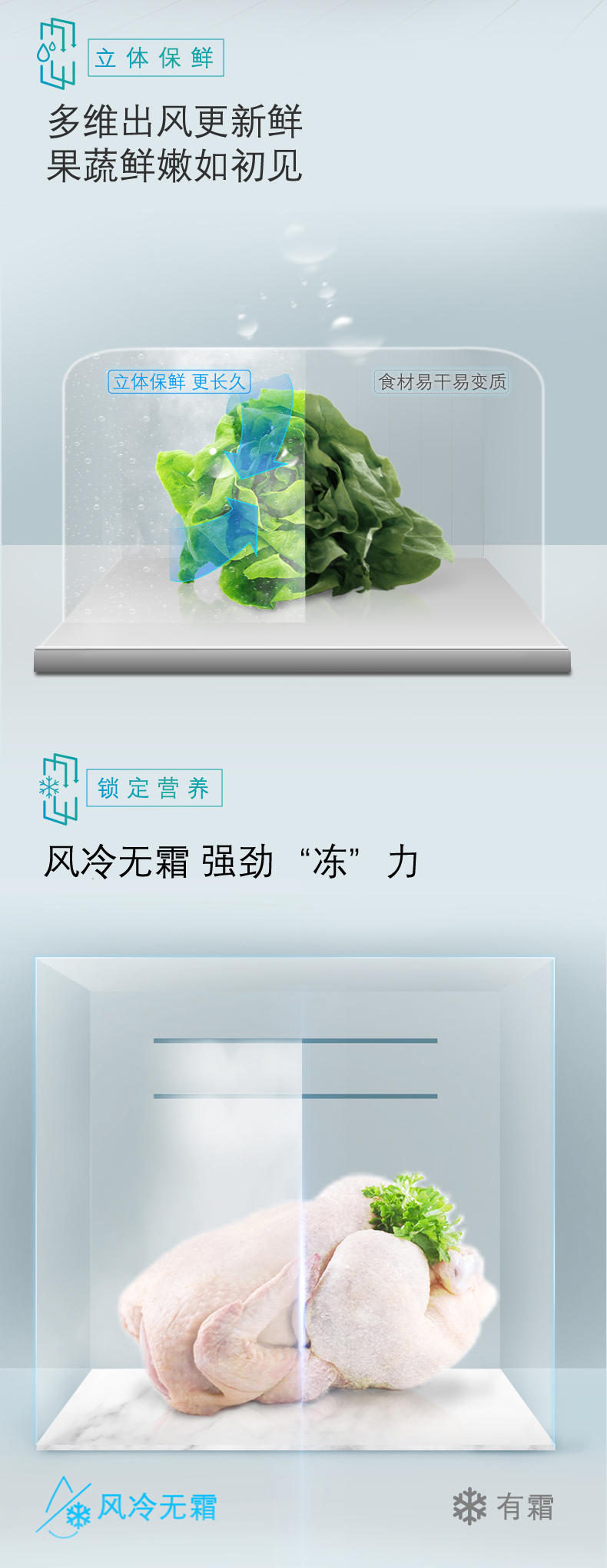 描述3.jpg