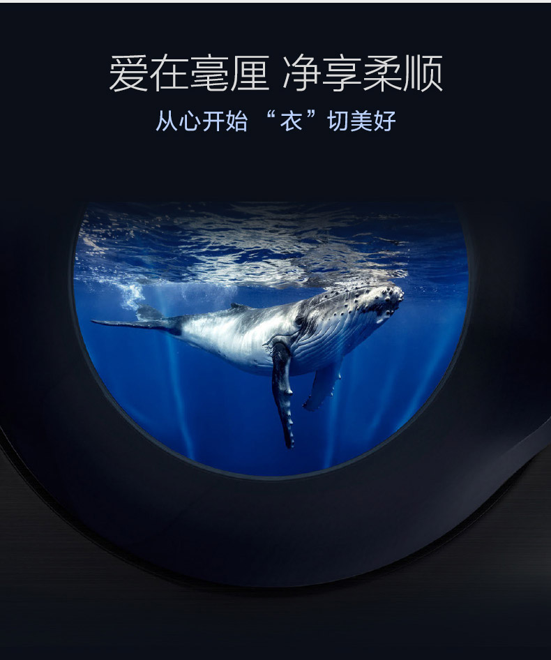 描述2.jpg