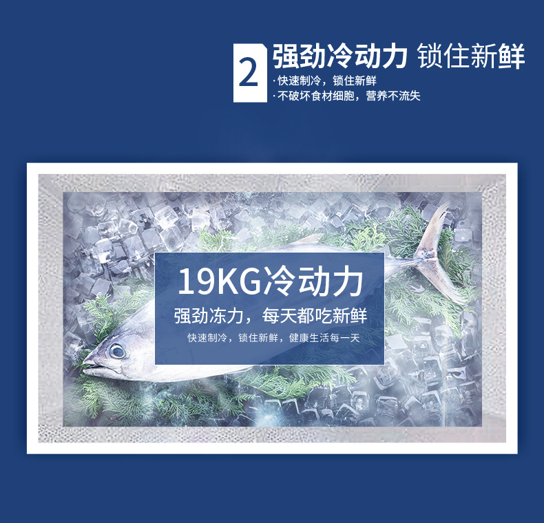描述10.jpg