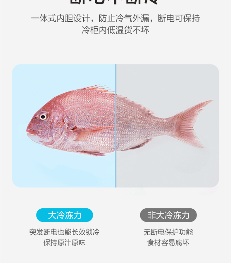 描述8.jpg